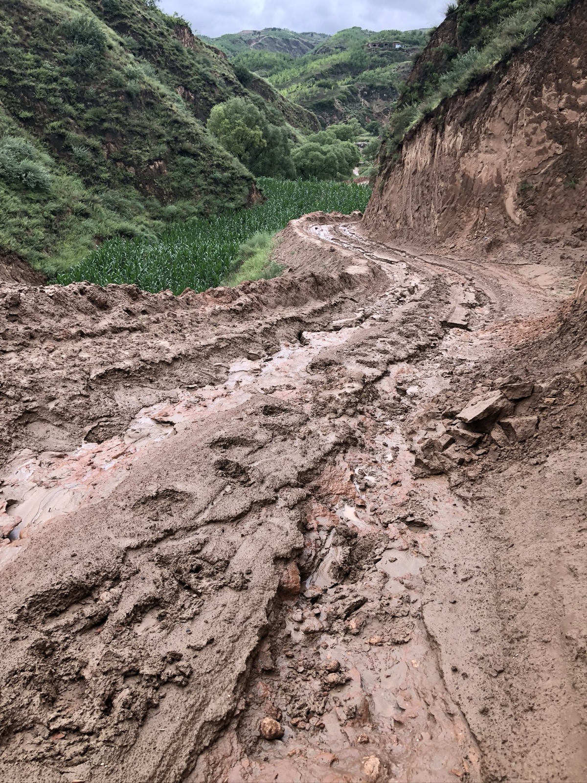 2018 Shanxi field test (4).